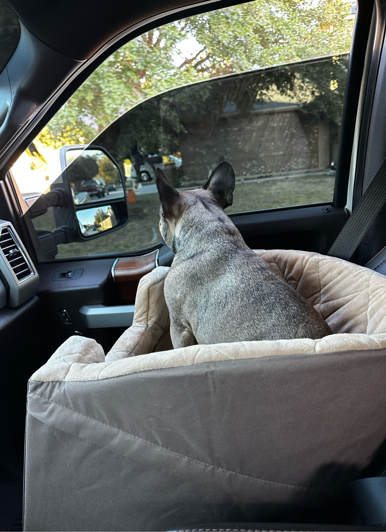 Get your dog the car bed! #petbed


#LTKfindsunder100 #LTKGiftGuide #LTKkids