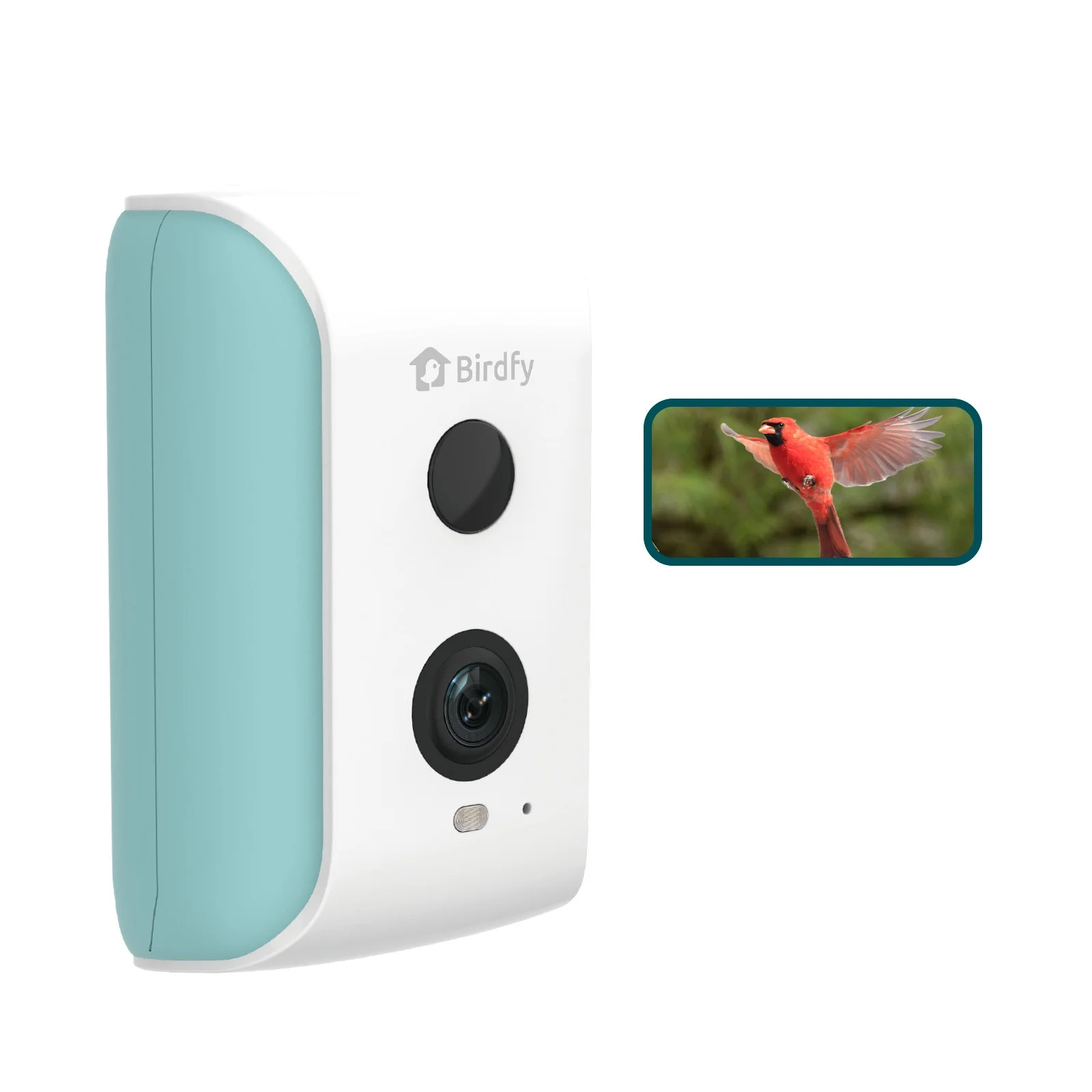 Birdfy Smart Bird Feeder Camera for Wild Bird Watching & Recording – Wall & Pole Mount Compatib... | Walmart (US)