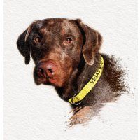 Custom Pet Portrait, Painting From Photo, Dog Drawing, Memorial Gift, Art, Portrait Art Print | Etsy (US)
