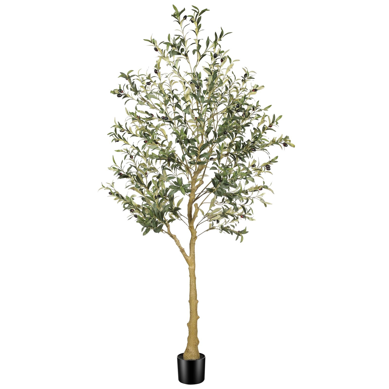 6ft Faux Olive Tree – Tall Artificial Olive Tree with Natural Trunk, Fake Olive Tree Indoor Dec... | Amazon (US)