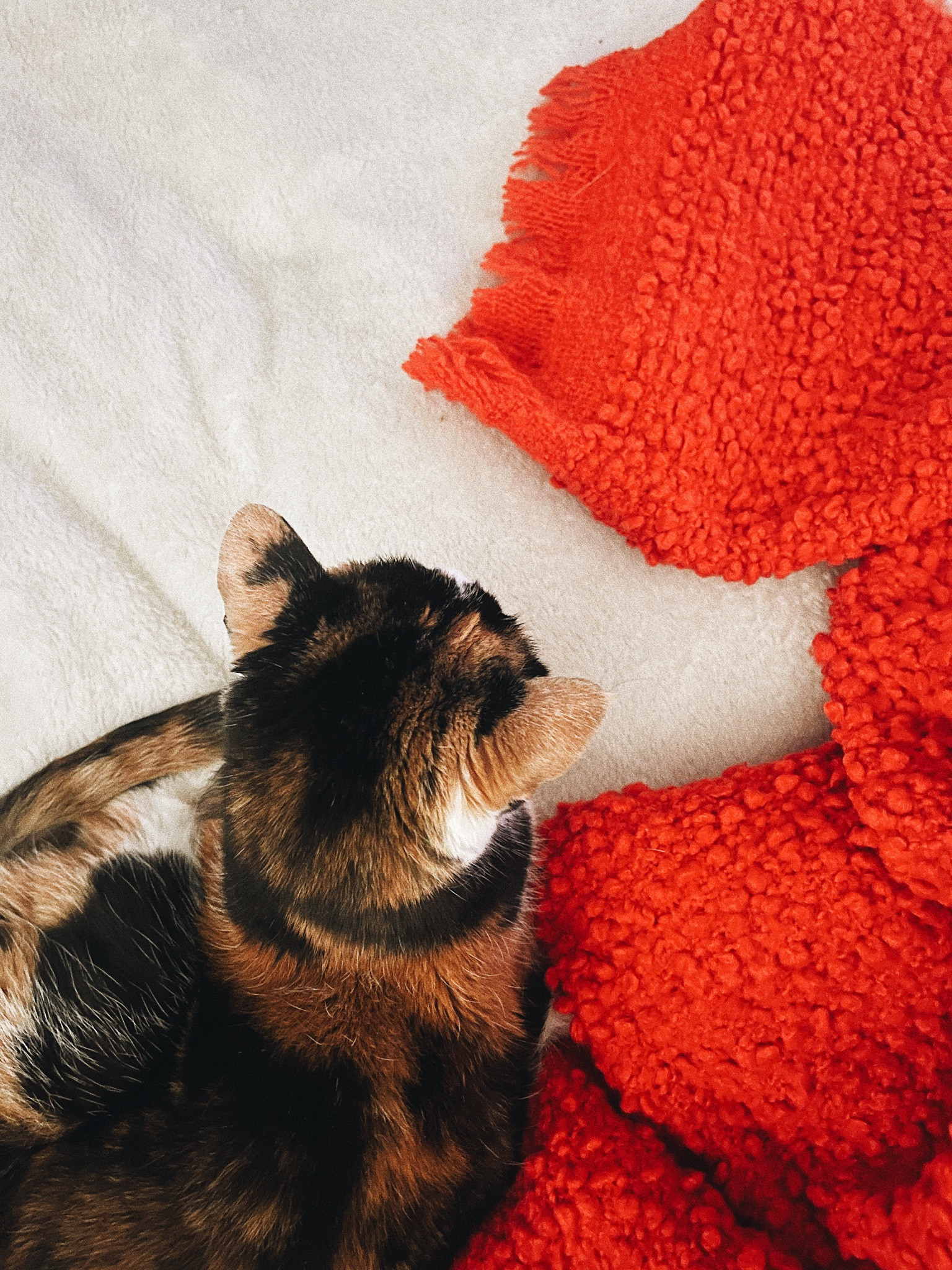 Cozy bouclé blanket for winter 

#LTKhome #LTKsalealert #LTKSeasonal