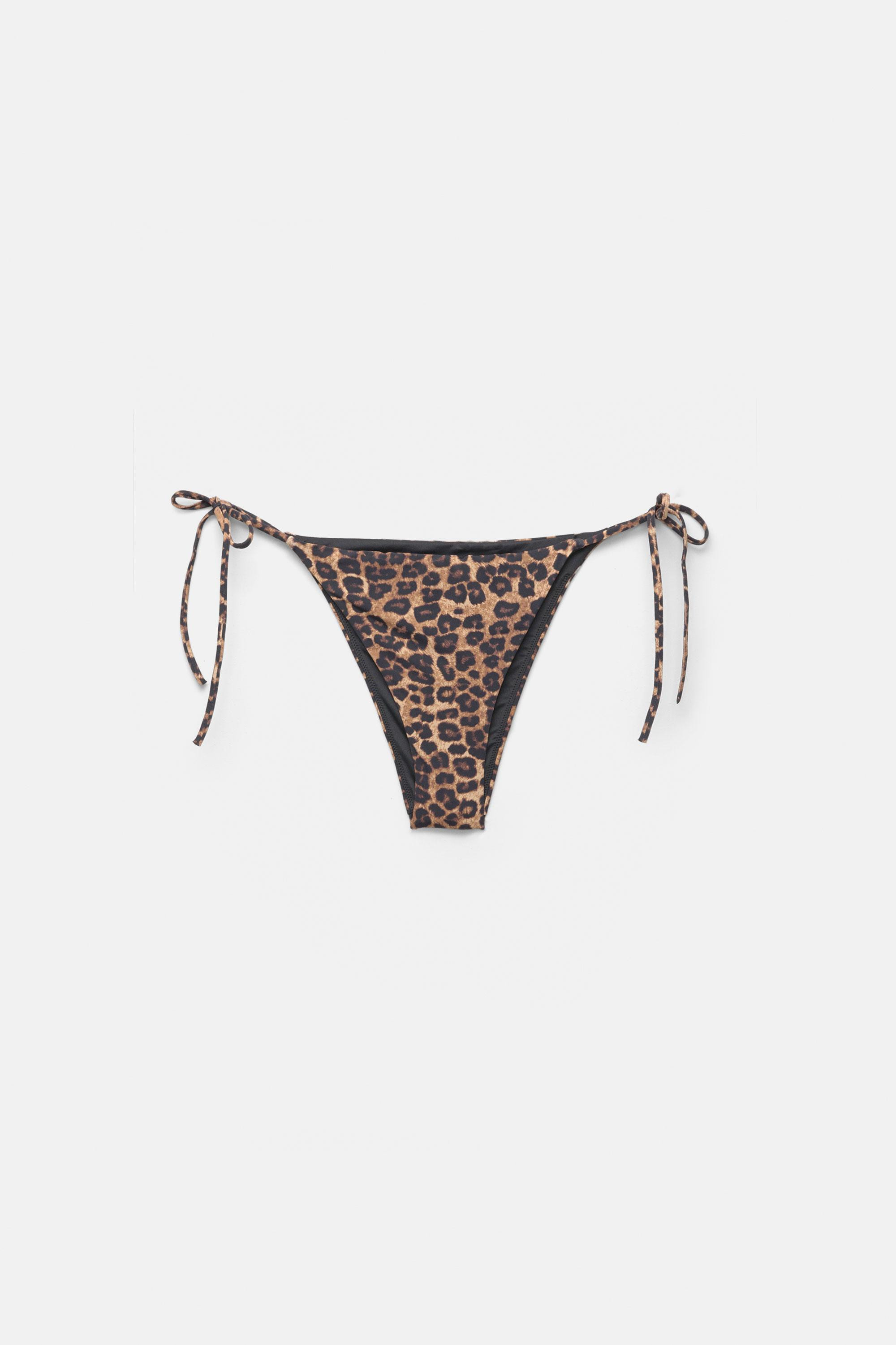 Leopard print bikini bottoms | Pull&Bear United Kingdom | PULL and BEAR UK