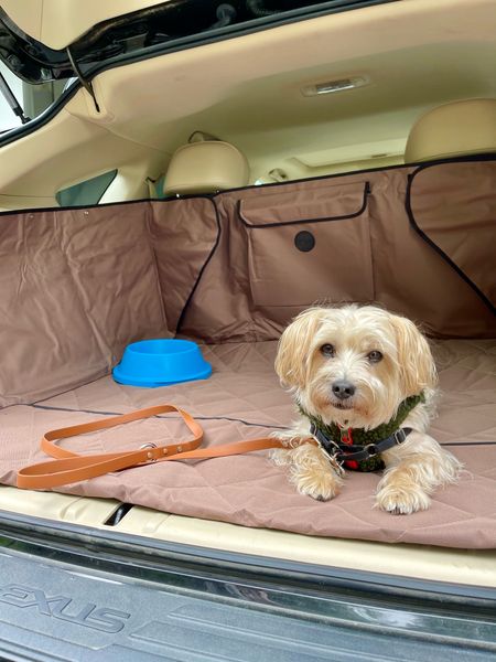 Cargo cover for summer travel is so essential! Keeps my car clean from our adventures.

#LTKTravel