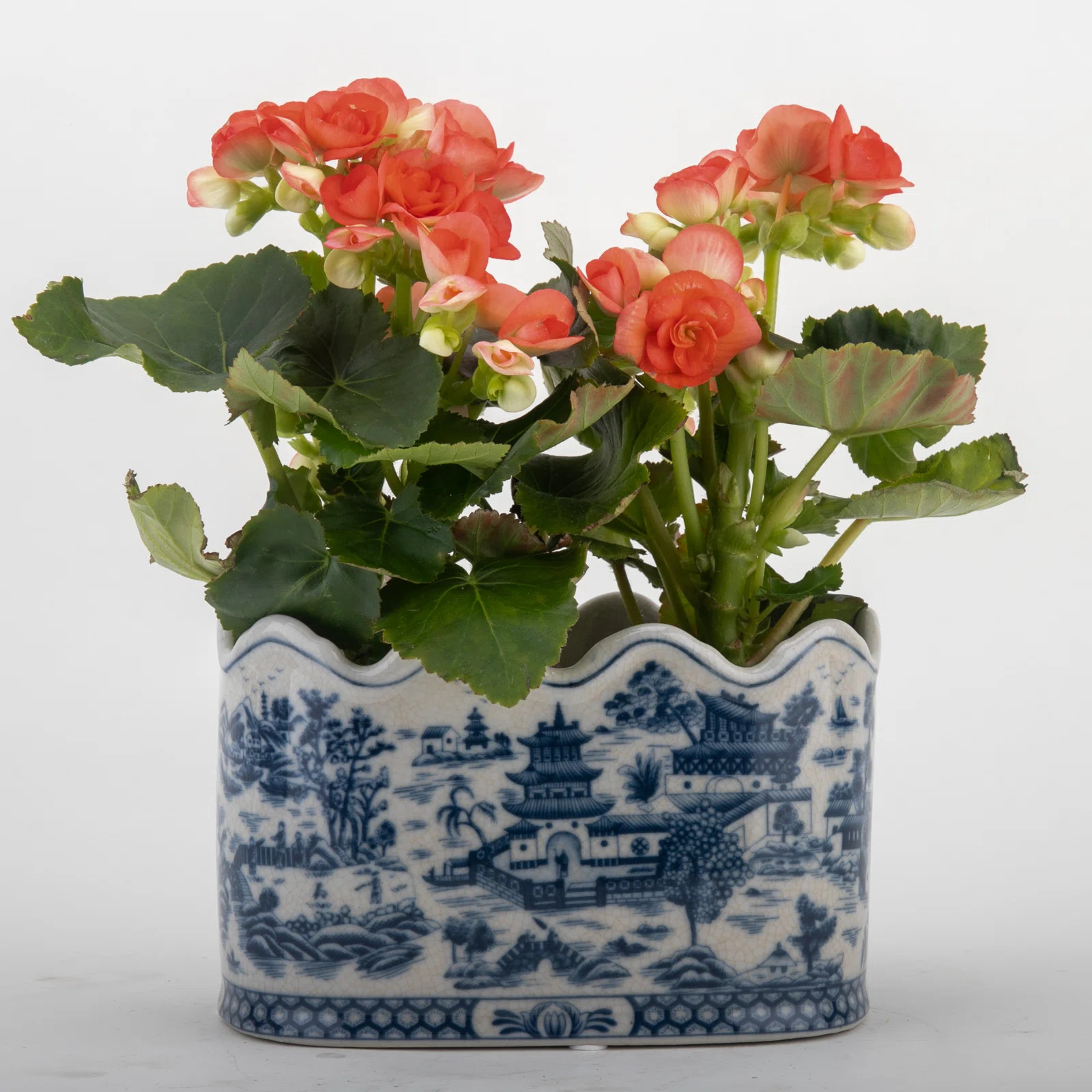 Handmade Planter | Perigold