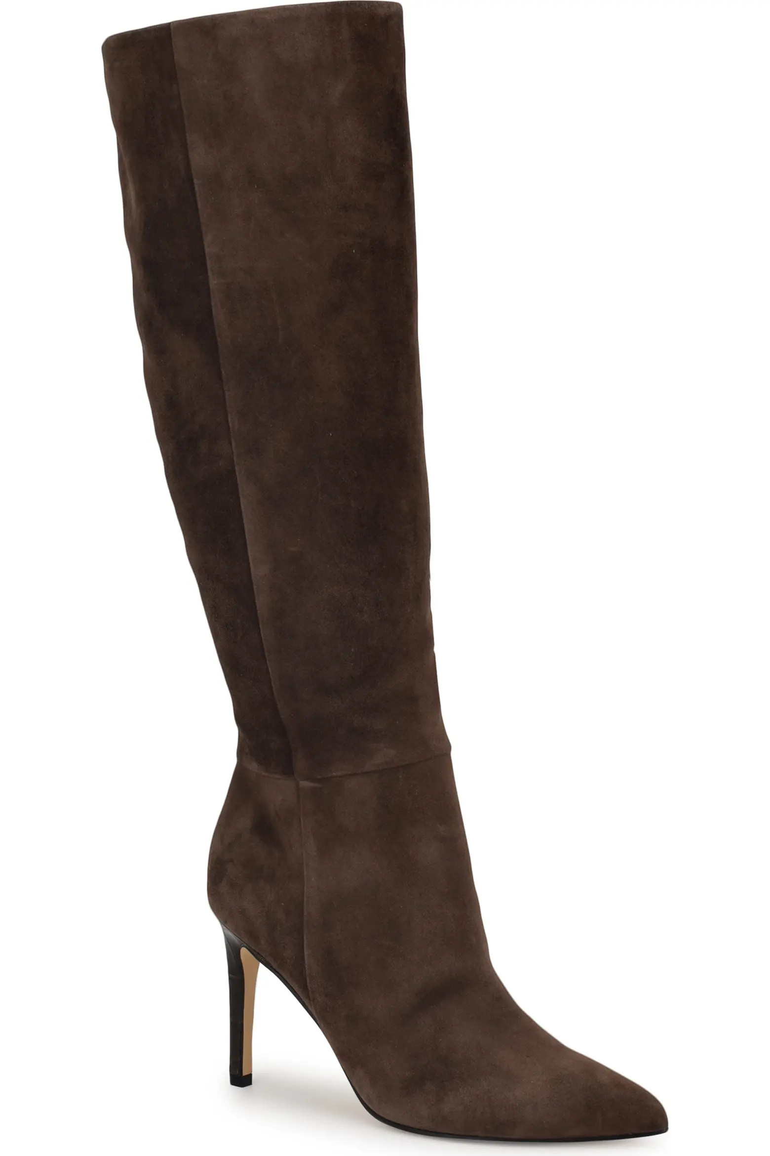 Richy Pointed Toe Knee High Boot (Women) | Nordstrom | Nordstrom