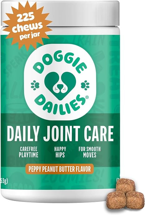 Doggie Dailies, Hip and Joint Supplement for Dogs, Glucosamine Chondroitin, Premium Hip and Joint... | Amazon (US)
