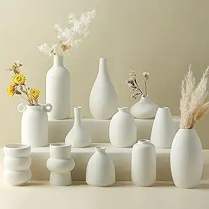 Set of 12 White Ceramic Bud Vases for Pampas Grass Flowers, Japandi Small Vases in Bulk for Cente... | Amazon (US)