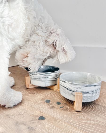 Linking a few of my favorite dog things including these bowls!!  

#LTKGiftGuide #LTKfamily #LTKunder50