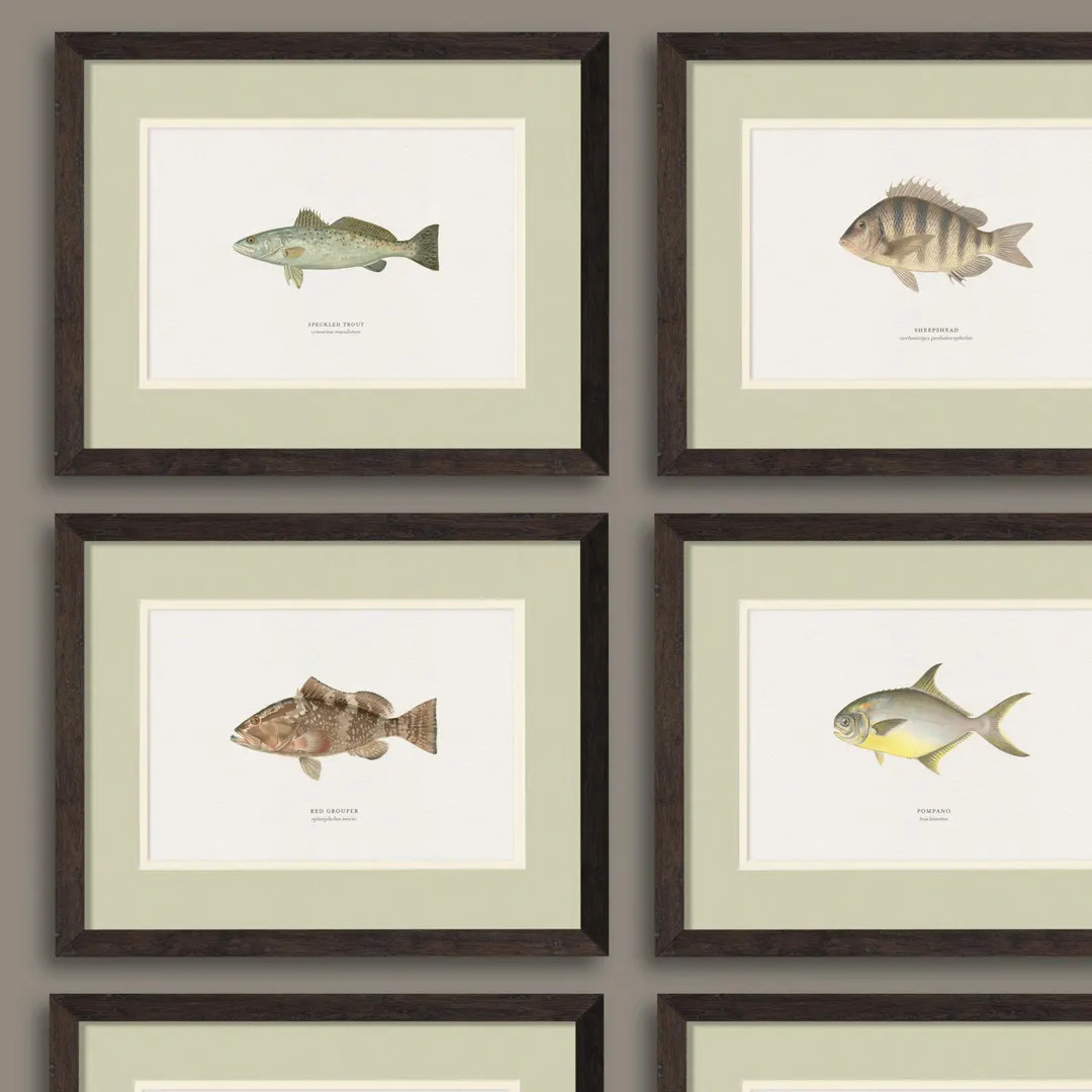 Unframed Vintage Saltwater Fish Prints, Perfect Gift for a Hunter, Fisherman, or Little Boy's Roo... | Etsy (US)