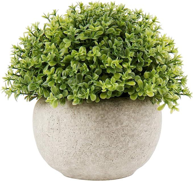 Fake Plants Artificial Mini Plants Plastic Green Grass Small Faux Greenery Potted Plant with Whit... | Amazon (US)