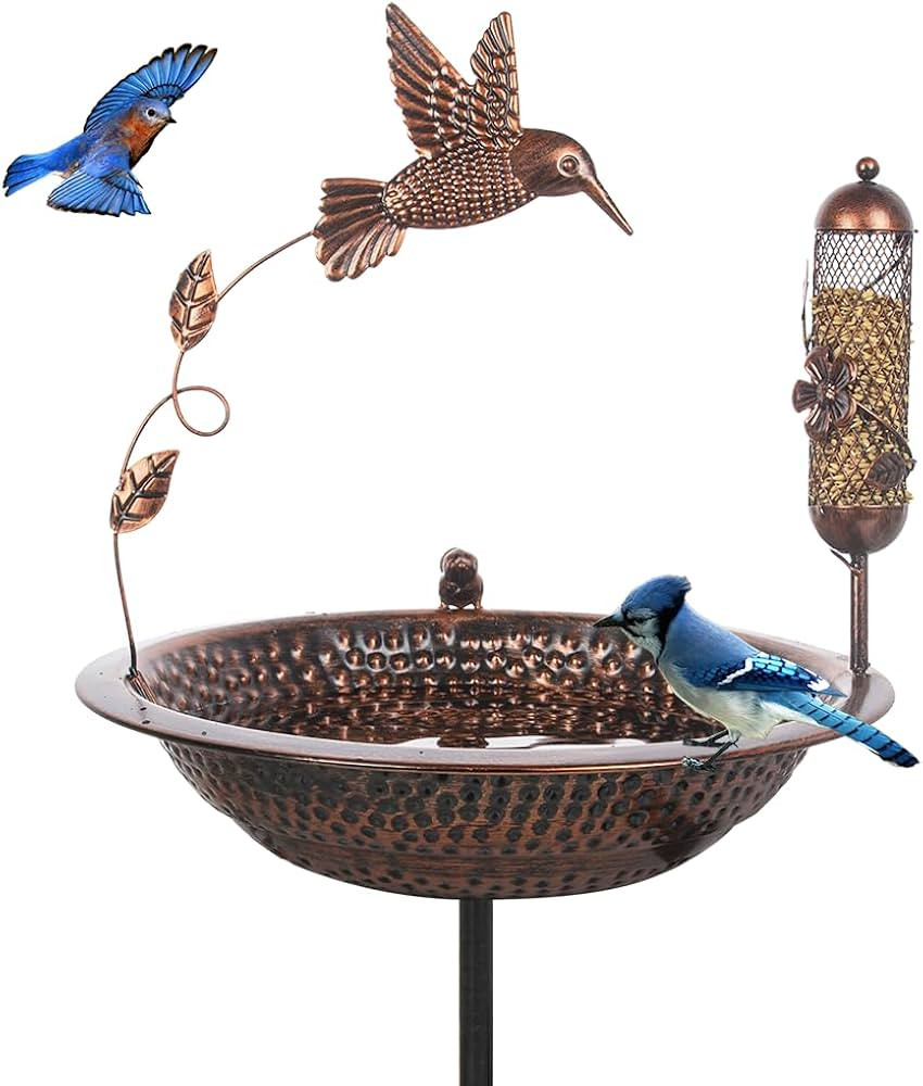 Vintage Bird Bath Outdoor, 13'' Dia Metal Bird Bath Bowl with Garden Stake Bird Feeder, Birdbath ... | Amazon (US)