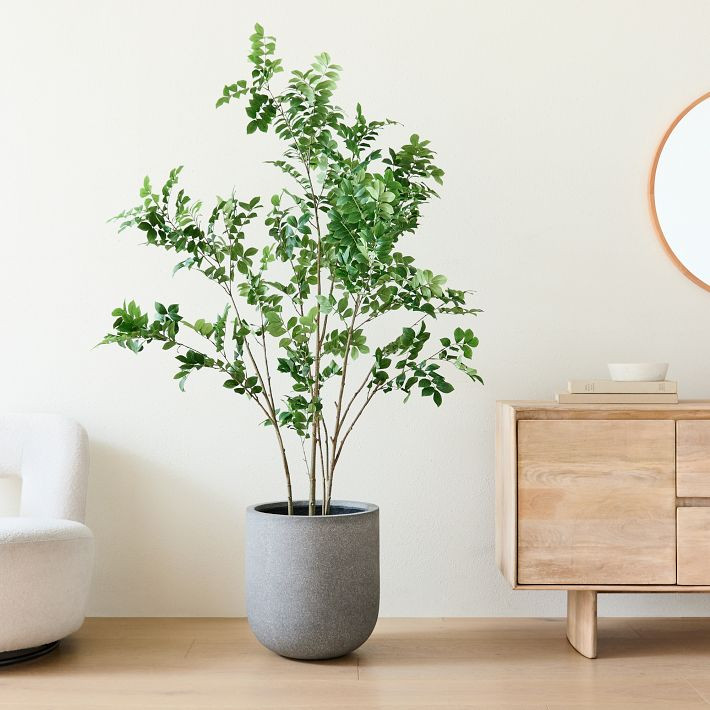 Faux Potted Green Leaf Tree & Radius Planter Bundle | West Elm (US)