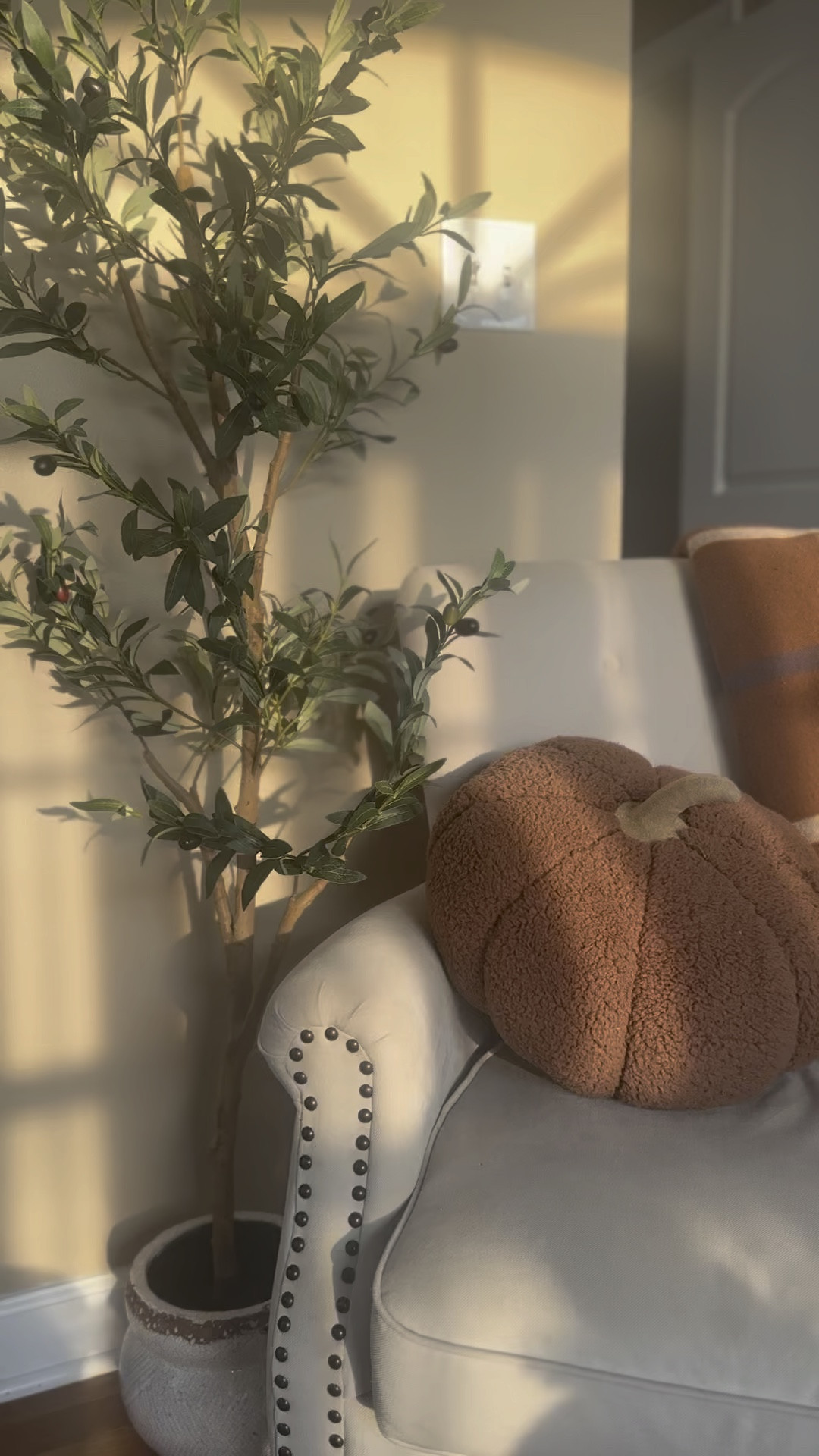 That morning light though. This olive tree has been my favorite thing in my living room. I love the pop of green it adds. And it’s on major sale!

#LTKVideo #LTKHome #LTKFallSale