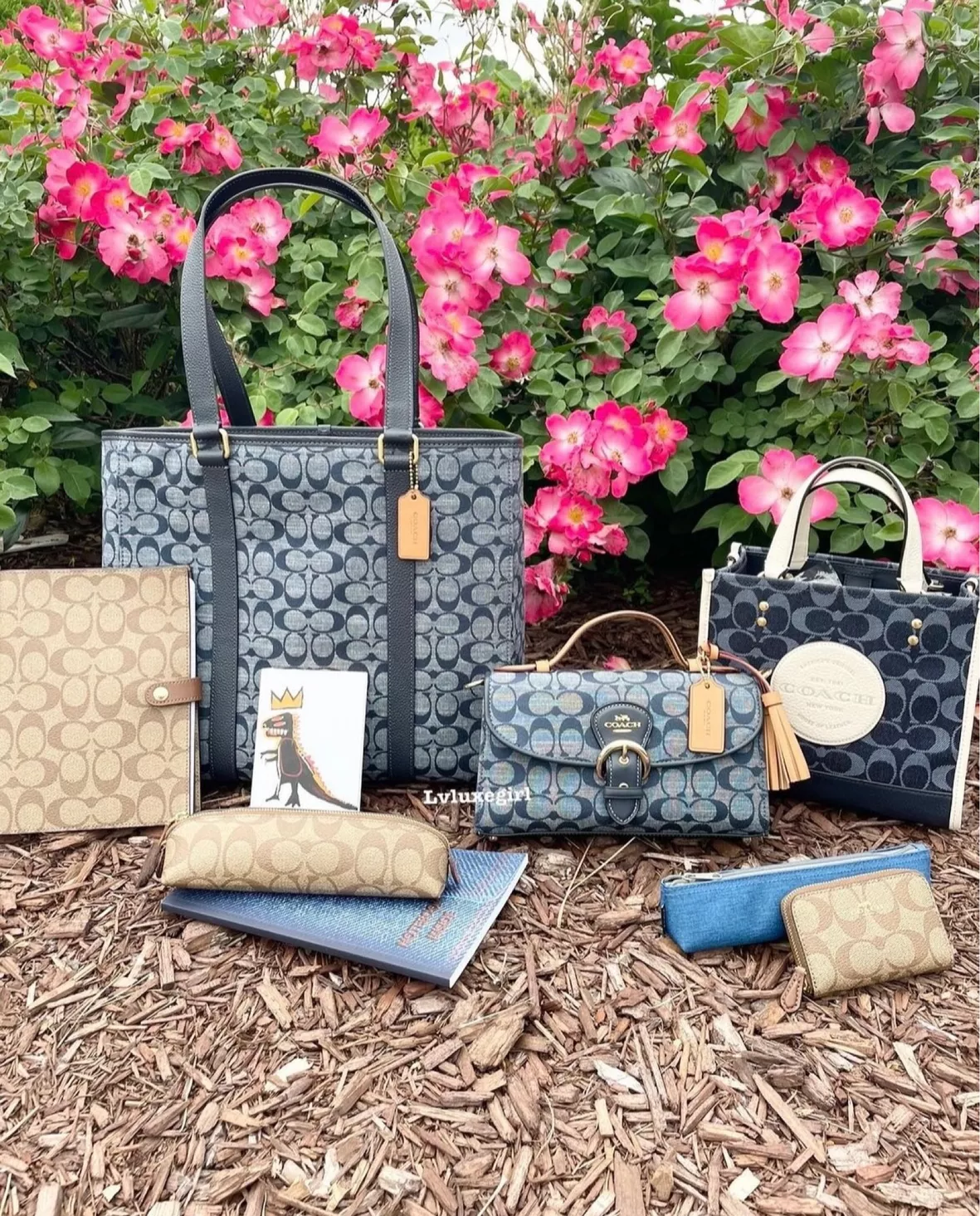 Louis Vuitton Bags New LV Ladies … curated on LTK