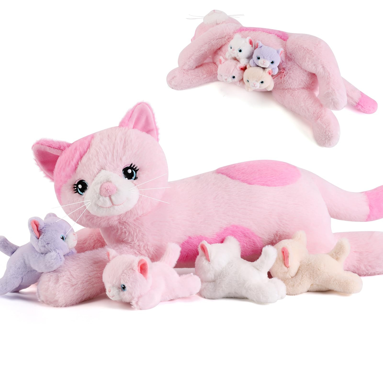 Cat | Amazon (US)