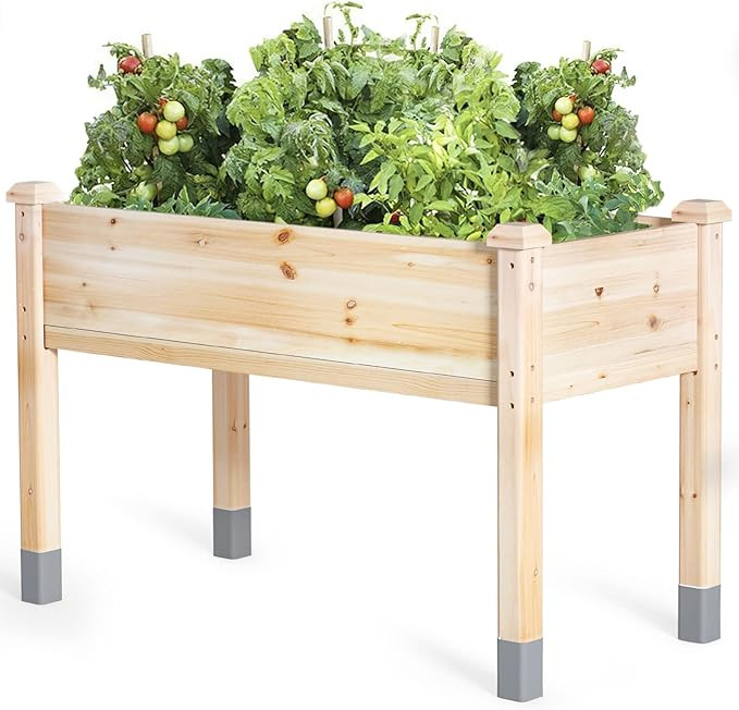 MIXC Wooden Raised Garden Bed with Legs, 48”L X 24”W, Elevated Reinforced Large Planter Box f... | Amazon (US)