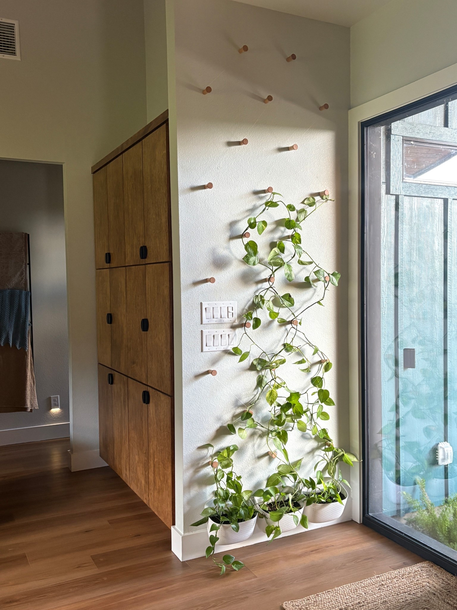 Entryway plant wall made from wooden coat hooks and fishing line! Installing it was the easy part (even though I did it twice and put roughly 400 holes in the wall). The hard part is going to be waiting for it to fill in 👀

#plantwall #pothos #DIY #enrtyway #homeinspo #trellis

#LTKHome