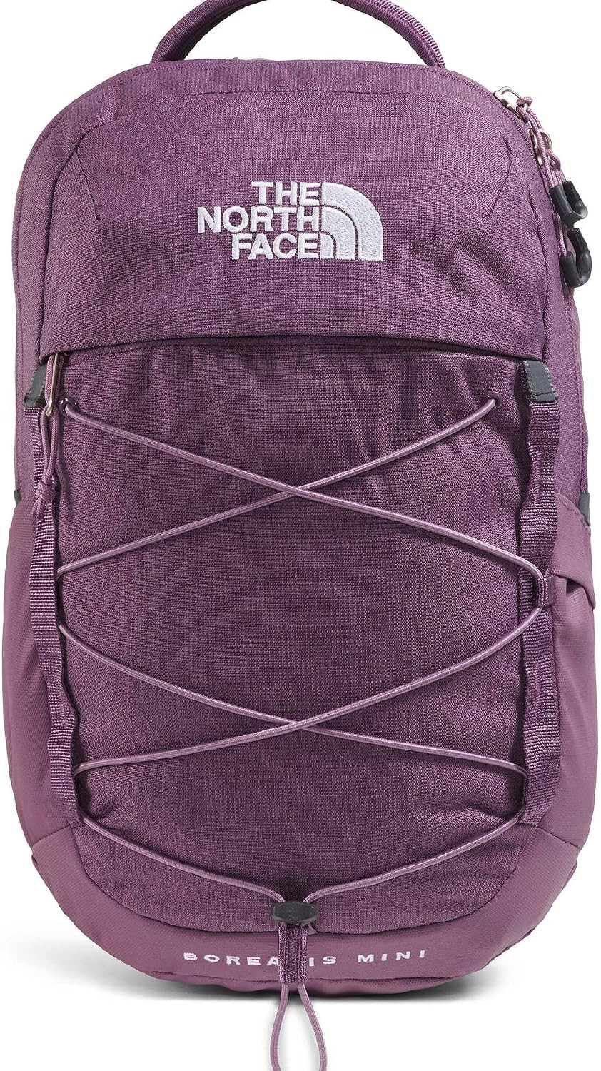 The North Face Borealis Mini Backpack, Chroma Purp Lt Hth, OSFA | Amazon (US)