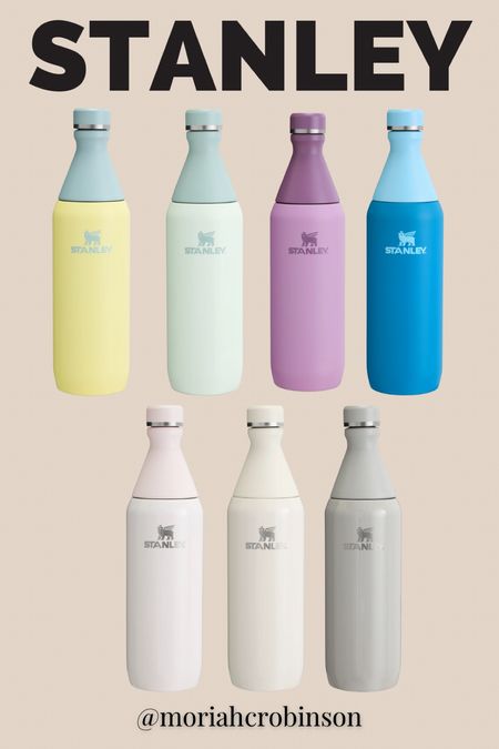 Stanley - the all day collection!

Quencher, tumbler, slim bottle, cup

#LTKhome #LTKtravel #LTKfindsunder50