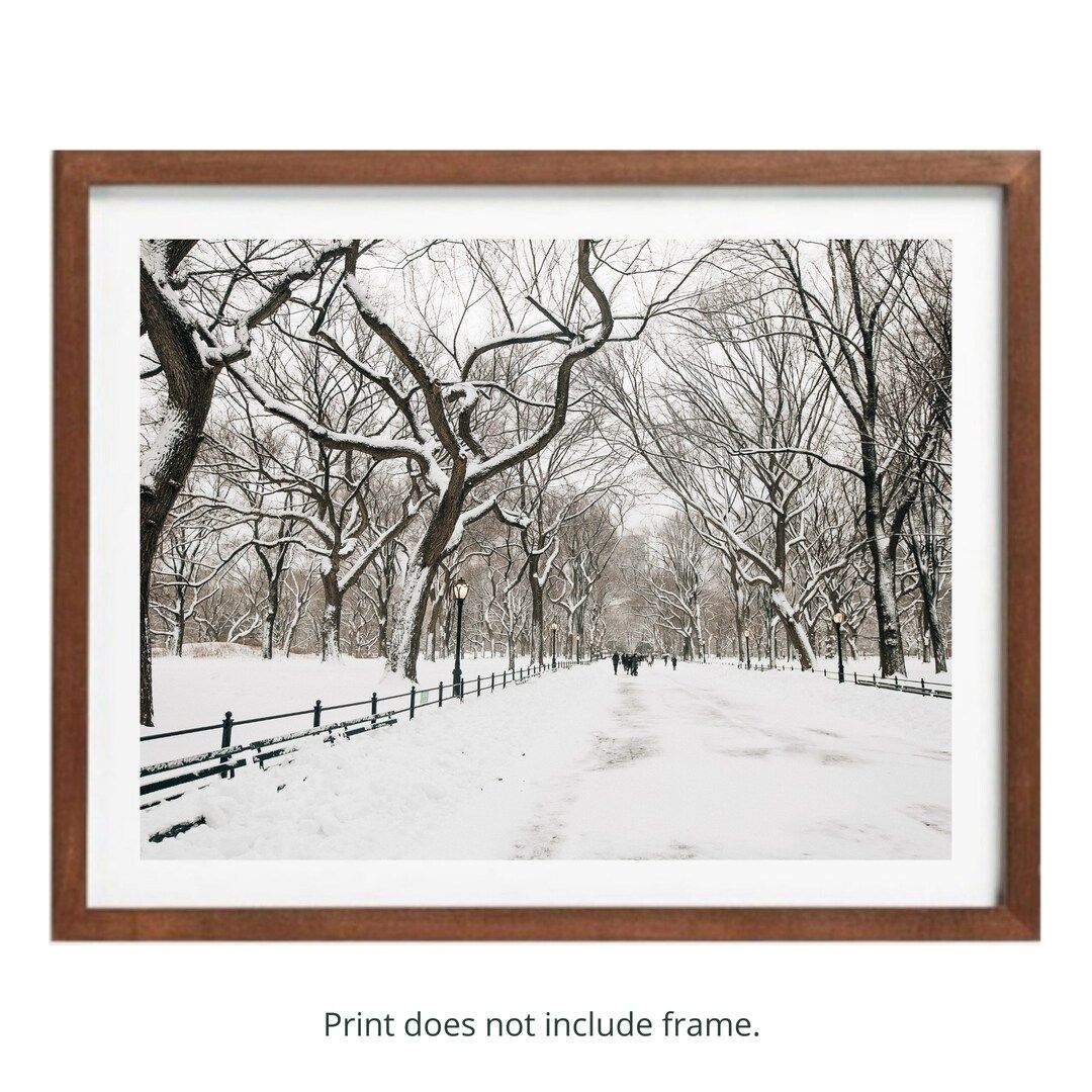 Central Park Mall in the Snow Photography Print New York City - Etsy | Etsy (US)
