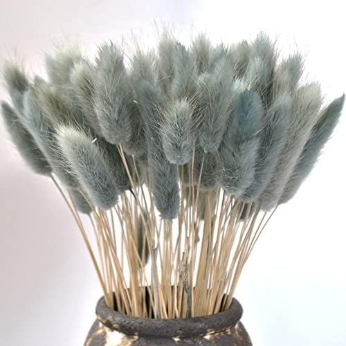Caiyun Manor 100 Pcs Rabbit Tail Grass Dried , for Home,Wedding、Party Themed Decorations.16in (Grey) | Amazon (US)