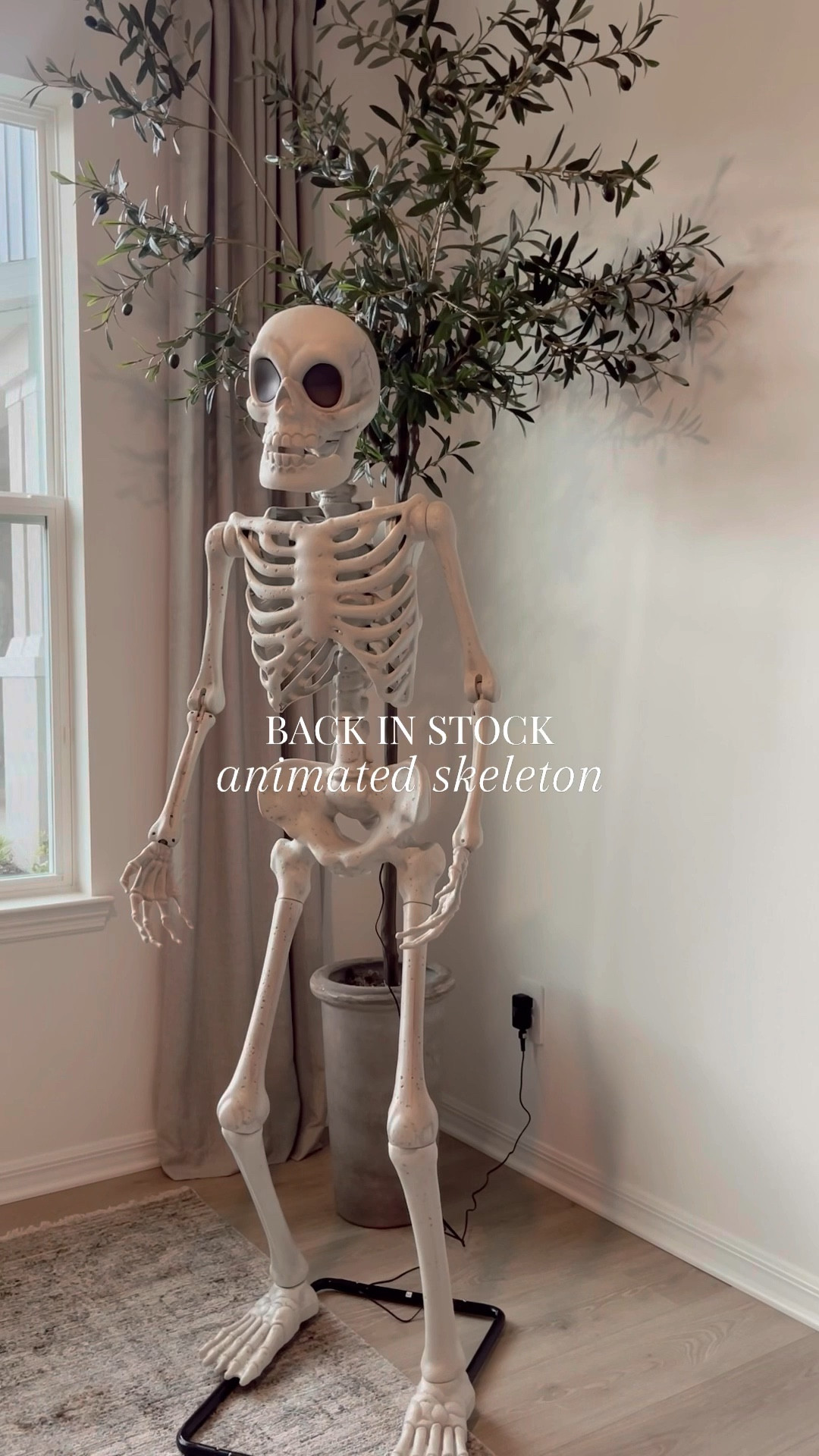 This animated skeleton was a hit last year and it is back! It’s so fun for an entryway or covered porch! Our guests and trick or treaters loved it. 💀

#LTKSeasonal #LTKHome