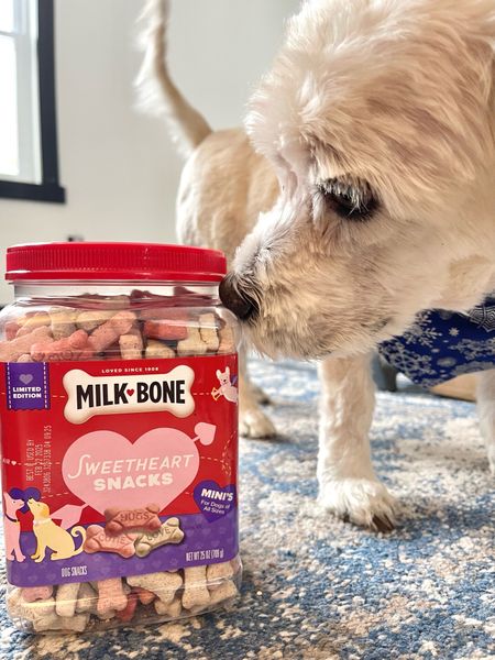 You can never forget about the pups for Valentine’s Day!!! The cutest treats + toys from Target for our fur babes!! ♥️🐾✨

#LTKSeasonal #LTKfindsunder50 #LTKGiftGuide