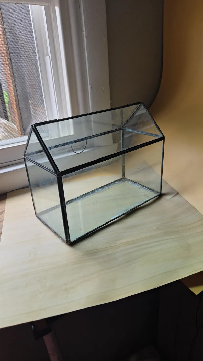 Minimalist Glass Greenhouse Tabletop - Rectangle Flip Top - Clear Smooth Glass - Terrarium Herbs ... | Etsy (Global)