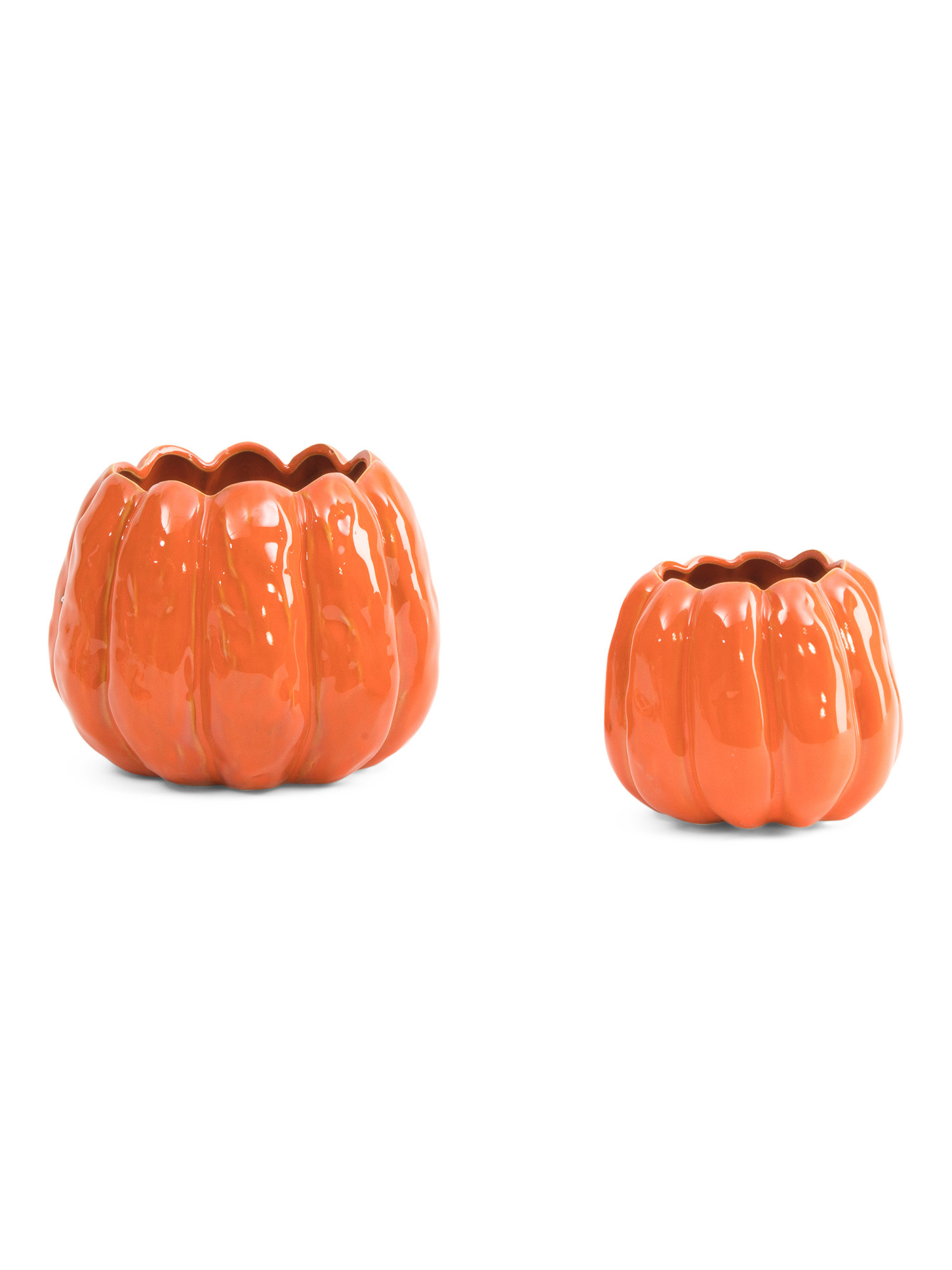 2pc Pumpkin Planter Set | TJ Maxx