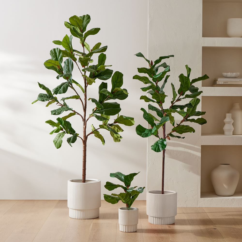 Faux Potted Fiddle Leaf Fig Plants | West Elm (US)