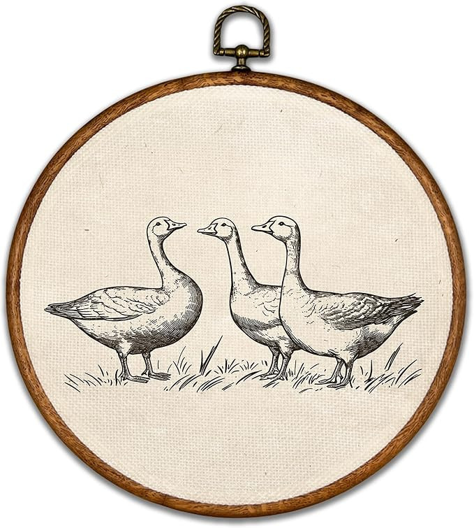 BCUANGD Retro Duck Round Wall Art Decor - Vintage Antique Duck Wall Art Canvas Frame Artwork Prin... | Amazon (US)