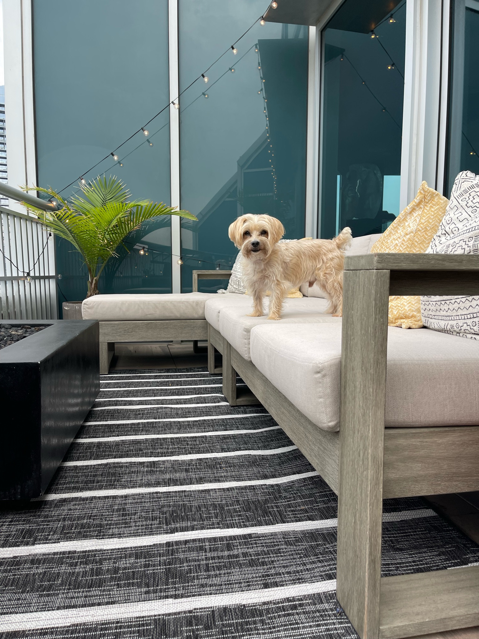 Replaced my old out door rug with this new outdoor rug from Target! It’s a great neutral rug that goes with all outdoor decor. Outdoor set is from West Elm. Expensive but worth it! You can customize your own sectional so it fits into your outdoor space. 

#LTKSeasonal #LTKhome