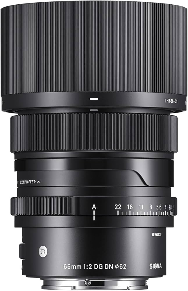 Sigma 65mm F2.0 DG DN for Sony E Mount | Amazon (US)