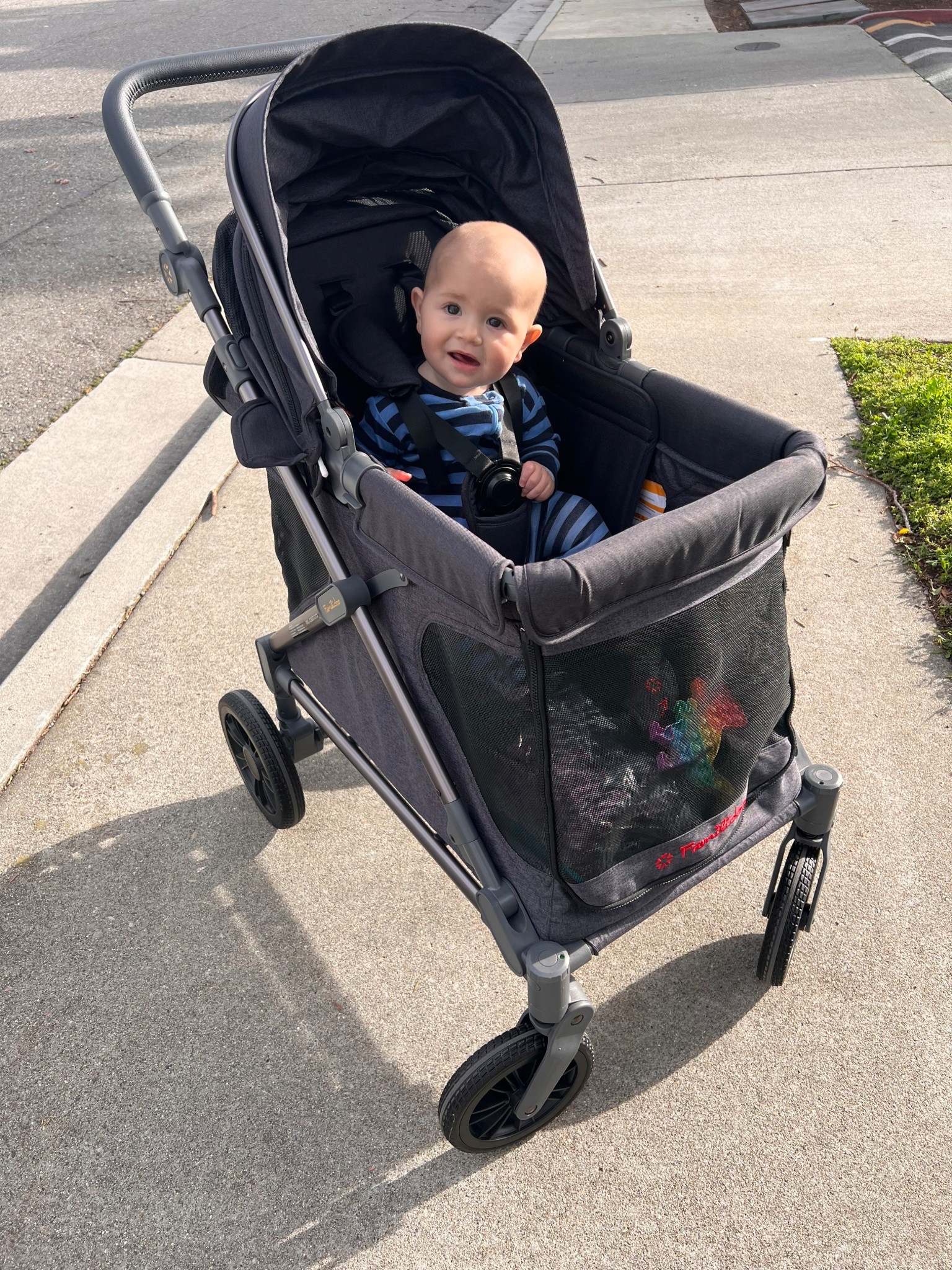 The best baby wagon for infants on Amazon! 

#LTKBump #LTKBaby #LTKKids