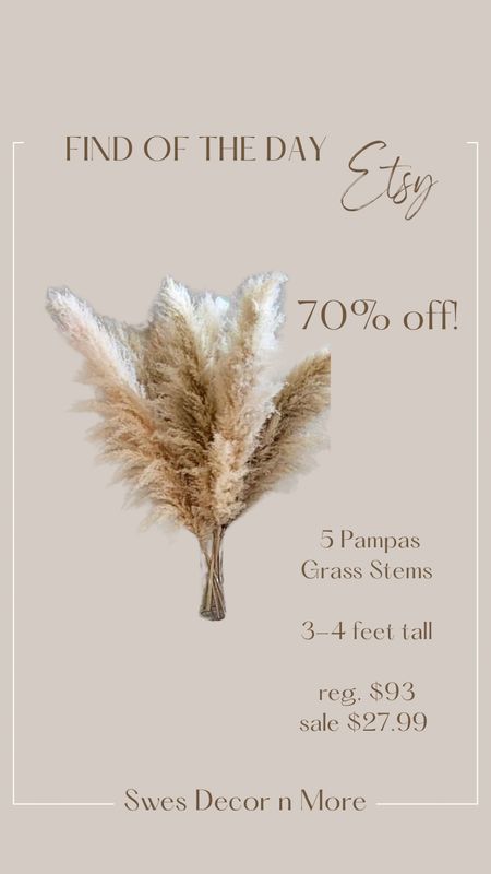Find of the Day…5 Large Pampas Grass stems, 70% off! 

Etsy, pampas grass, stems, fall stems, fall decor, neutral home decor, mega sale

#LTKSeasonal #LTKhome #LTKunder50