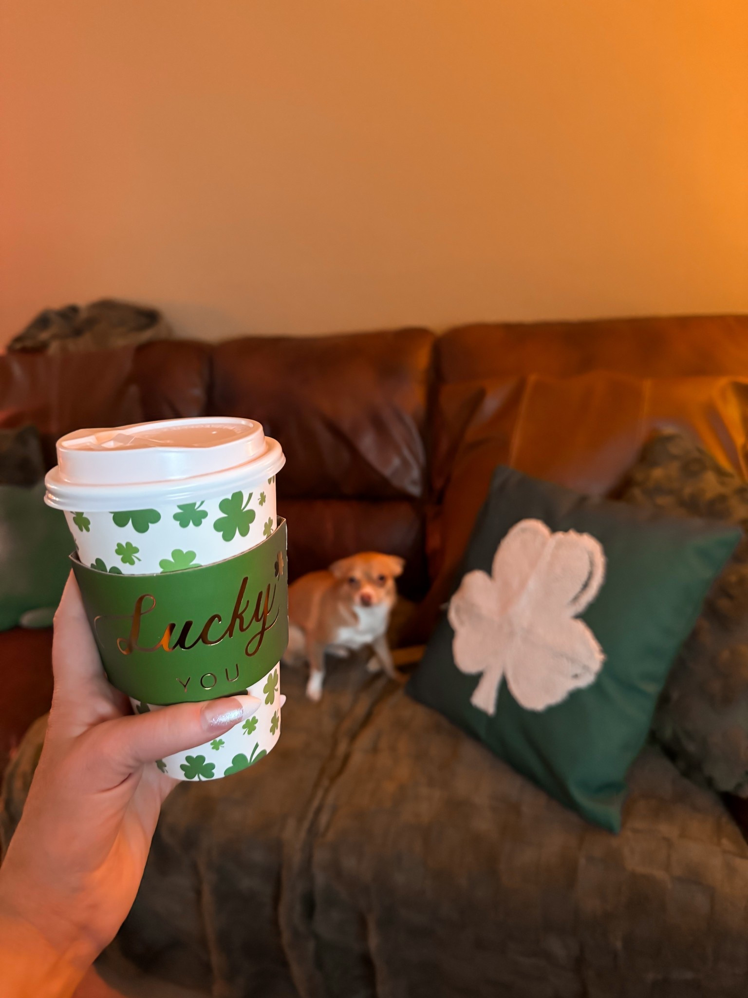 These St Patrick’s Day travel mugs are do cute! They even come with the sleeve! I also love these Shamrock pillow covers! • st Patrick’s day home decor • st Patrick’s day decor 

#LTKSeasonal #LTKHome #LTKFindsUnder50