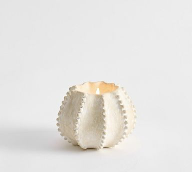 Artisan Studio Shell Candle Collection - Navy Beach | Pottery Barn (US)