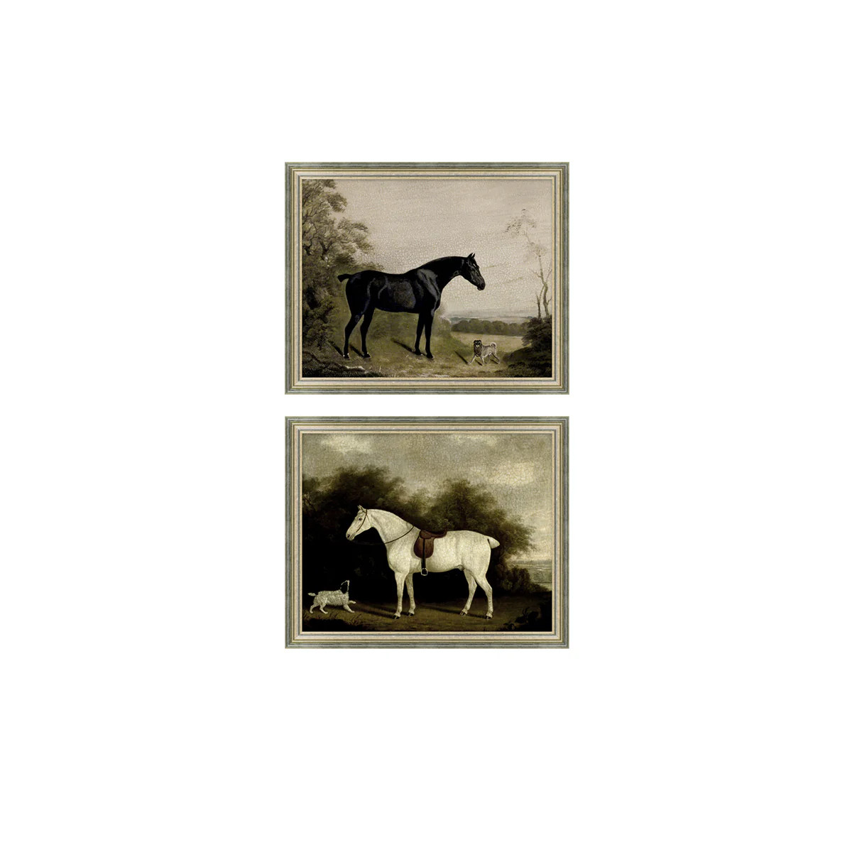 Proper Pair | Tuesday Made