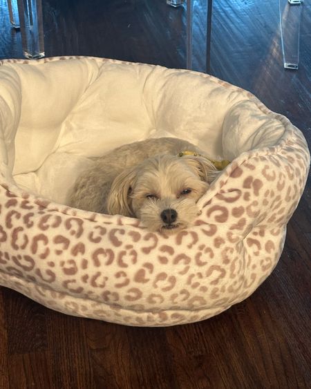 Comfy dog bed 

#LTKFindsUnder50 #LTKFindsUnder100