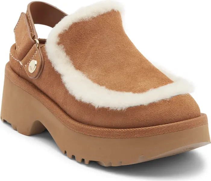 Esmee Genuine Shearling Clog (Women) | Nordstrom