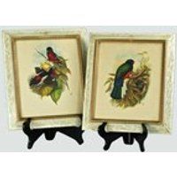 Vintage John Gould Framed Bird Prints Set of Two | Etsy (US)