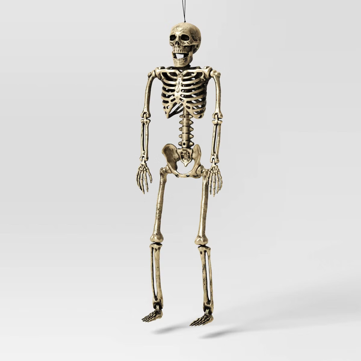 24" Poseable Skeleton Halloween Decorative Prop Shiny Champagne with Weathered Finish - Hyde and ... | Target