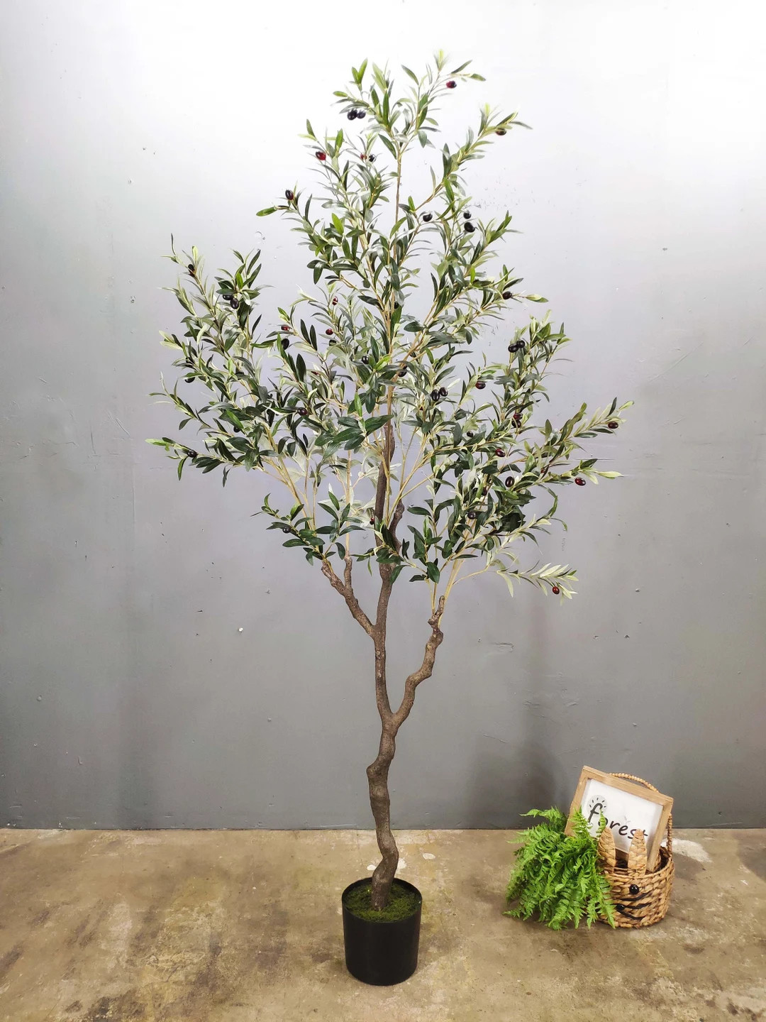 Large Artificial Olive Tree: 84" Faux Silk Plant | Etsy (US)