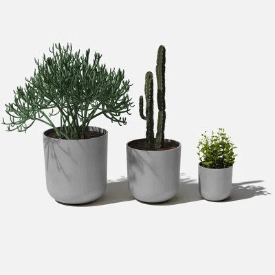 Mason Series 3 Piece Plastic Pot Planter Set | Wayfair North America