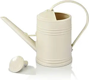 Watering Can for Indoor Plants, Flower Watering Can Outdoor for House Plants Garden Flower, Small... | Amazon (US)
