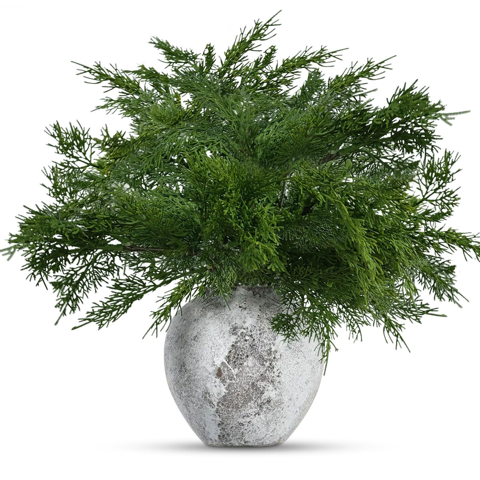 12 Pcs Christmas Norfolk Pine Branches,17 Inches Real Touch Norfolk Pine Stems,Faux Cedar Branche... | Amazon (US)