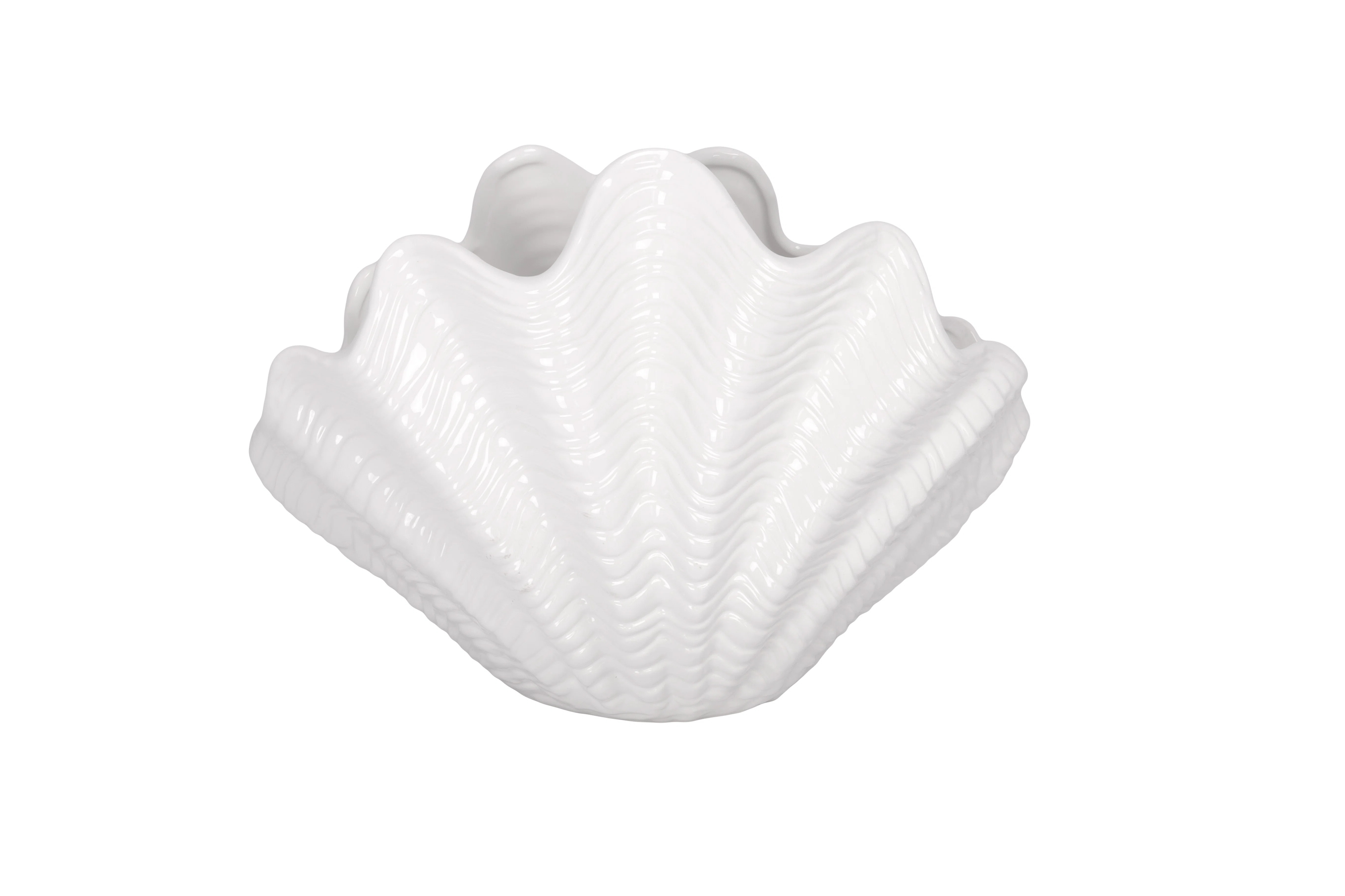 Ceramic Shell White | Wayfair North America