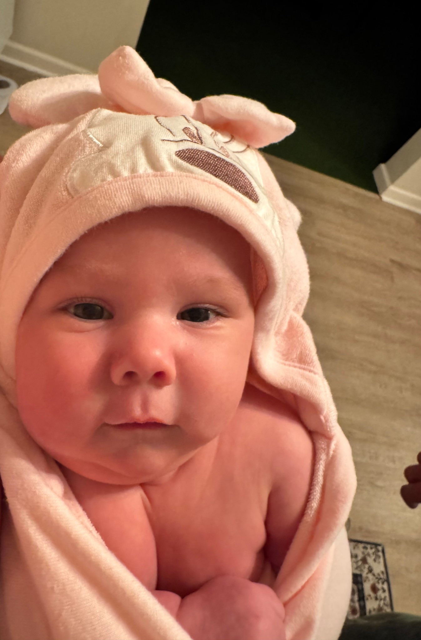 the CUTEST baby bath towel under $15! 😍

#LTKKids #LTKBeauty #LTKBaby