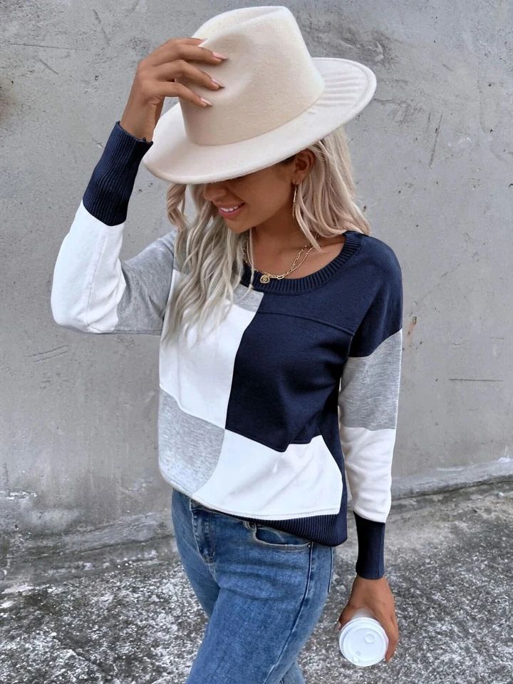 SHEIN LUNE Colorblock Drop Shoulder Sweater | SHEIN
