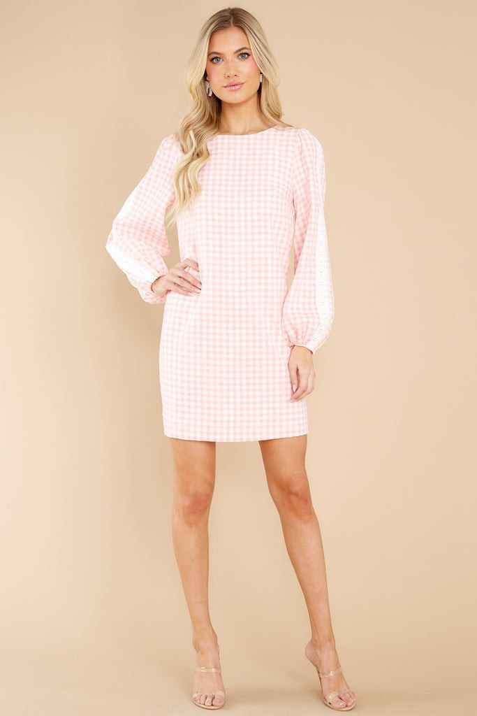 Carefreely Content Pink Gingham Mini Dress | Red Dress 